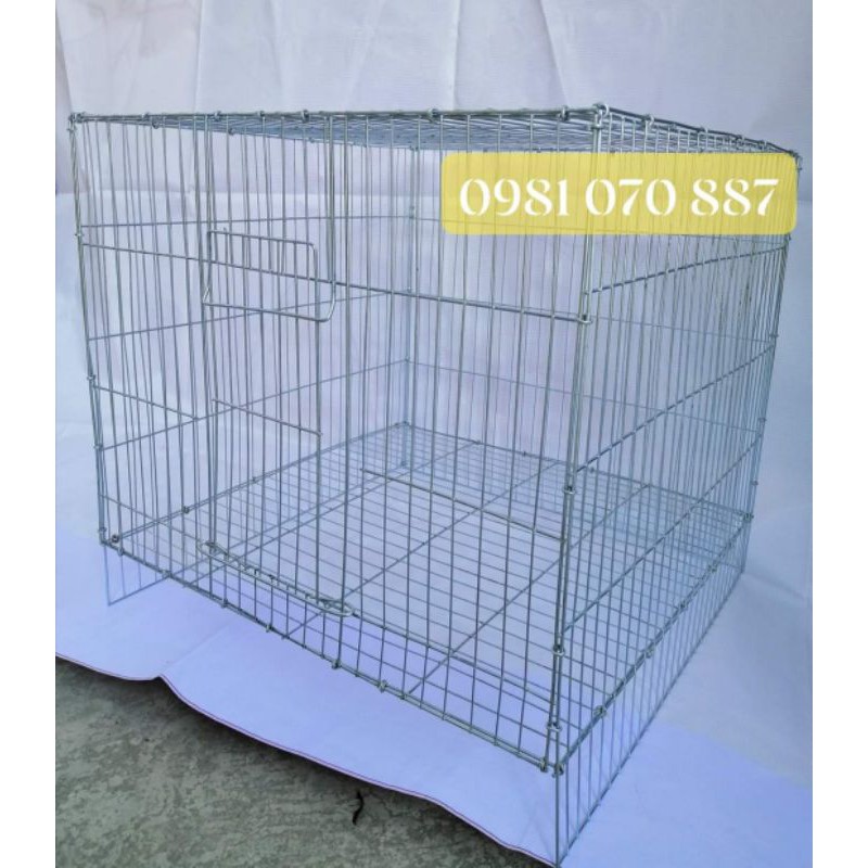 Lồng mèo, chim, thú cưng