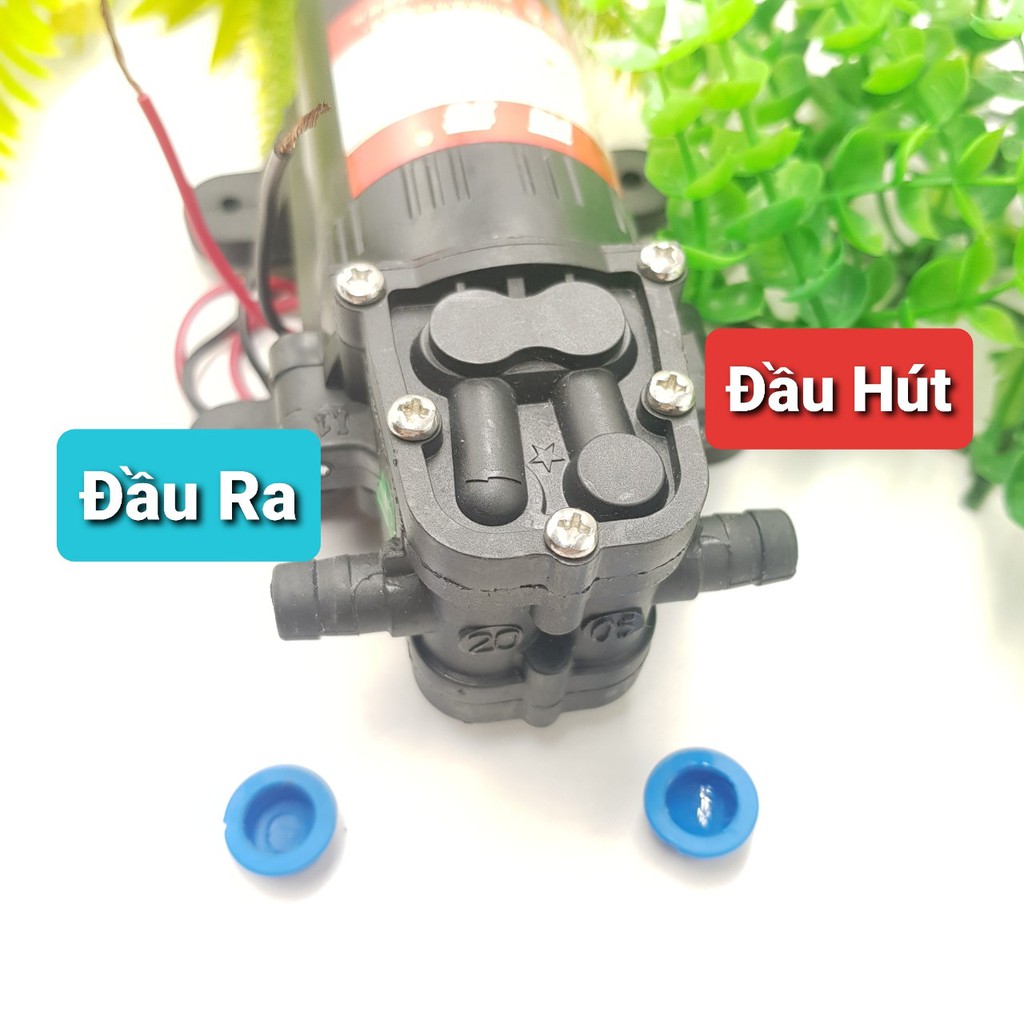 Máy Bơm Tăng Áp 12V DP-521Máy Phun Sương Tăng Áp 3.5 LítBơm Nước 12V Động Cơ 775