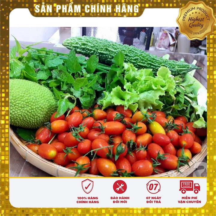 Hạt giống Cà Chua Bi Nhót 30 Hạt [Bán Sỉ]