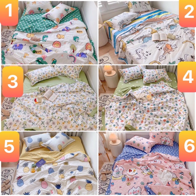 Sét bộ 4 món Cotton chăn trần nhập khẩu cao cấp( free bo chun)