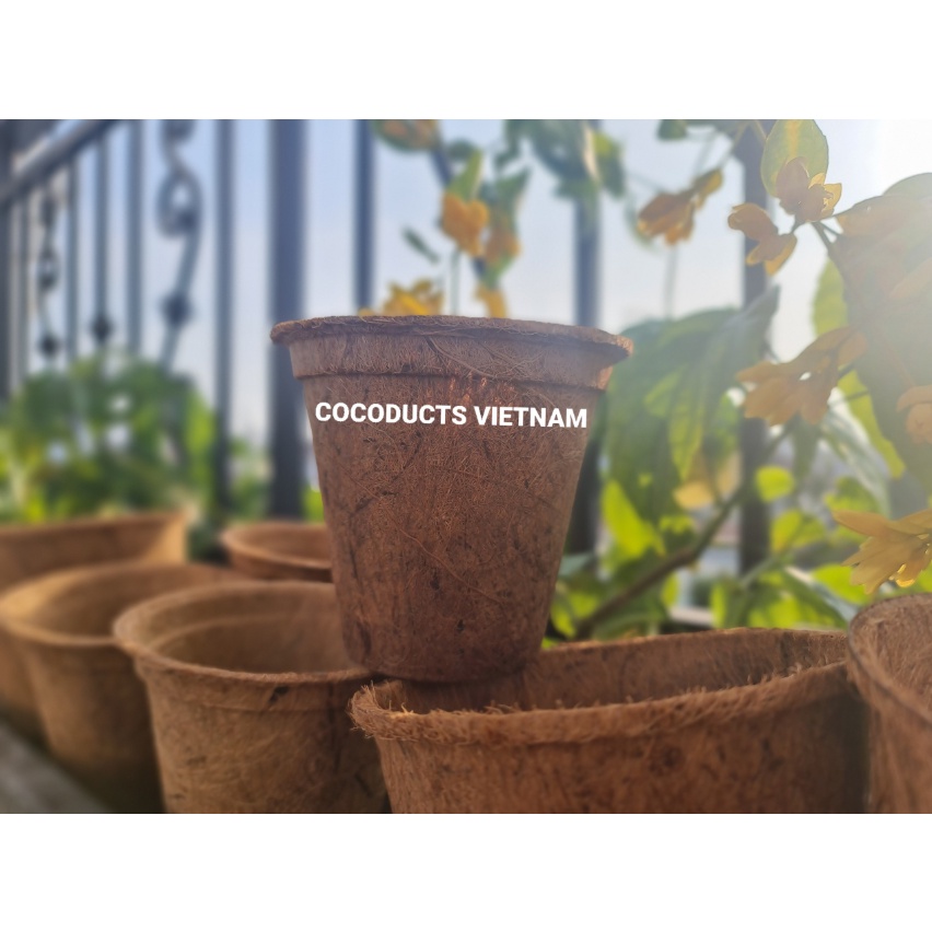 Chậu xơ dừa ép nhiệt  Coir Pot