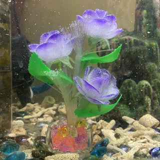 Lọ hoa nhựa tím trang trí bể cá, hòn non bộ, sân vườn