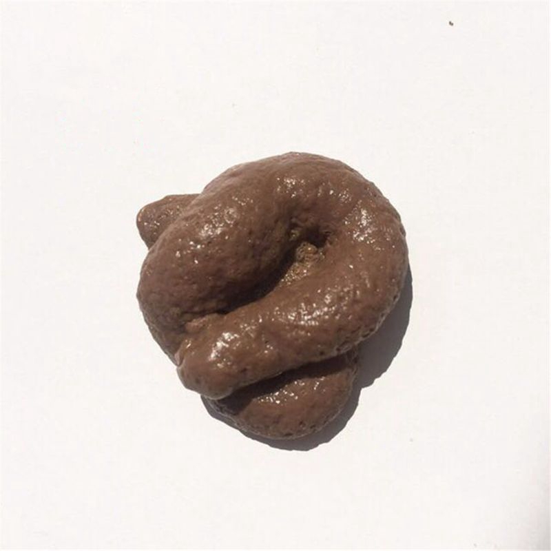 OMG* Funny Disgusting Fake Stool Joke Trick Gadget Realistic Prank Toy April Fools