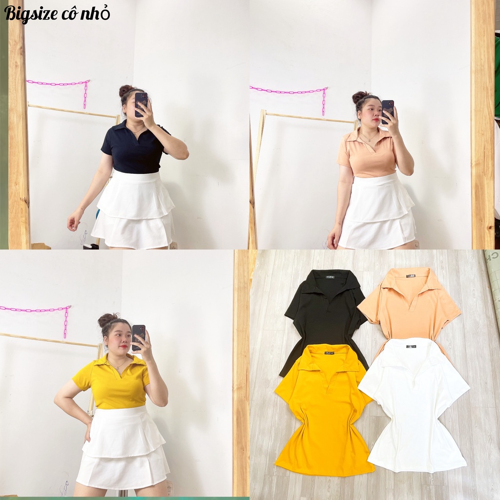 Áo Thun Cổ Bẻ Bigsize nữ ,Áo Thun Polo Có Size Chuẩn Phom dáng dài ACB