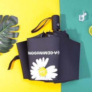 ❄Ô DÙ HOA CÚC HÀN QUỐC ❤️ DÙ CÚC HỌA MI❤️