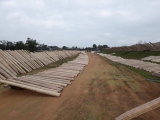 Lá bánh cuốn ram ( cuốn chả giò)