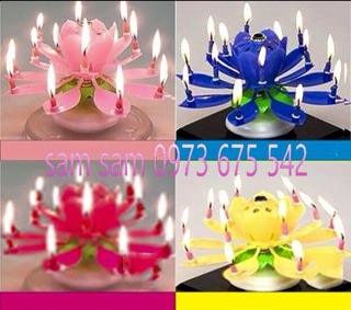 COMBO 20 NẾN SINH NHẬT 3D NỞ HOA PHÁT NHẠC