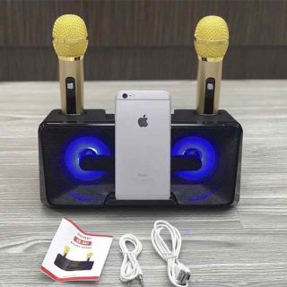 Loa nghe nhạc hát karaoke blutooth SD 301.