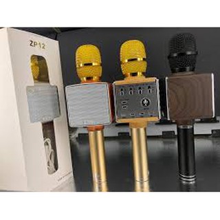mic zp12