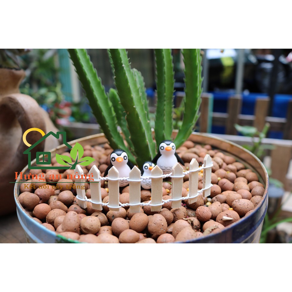 TT000 - Rào gỗ nhiều màu trang trí tiểu cảnh size 10cm.