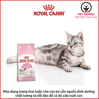 Thức ăn hạt cao cấp cho mèo Royal Canin Mother and Baby Cat túi 4kg