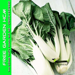 COMBO 1200 HẠT GIỐNG CẢI CHINESE PAK CHOY - KITAZAWA - MỸ
