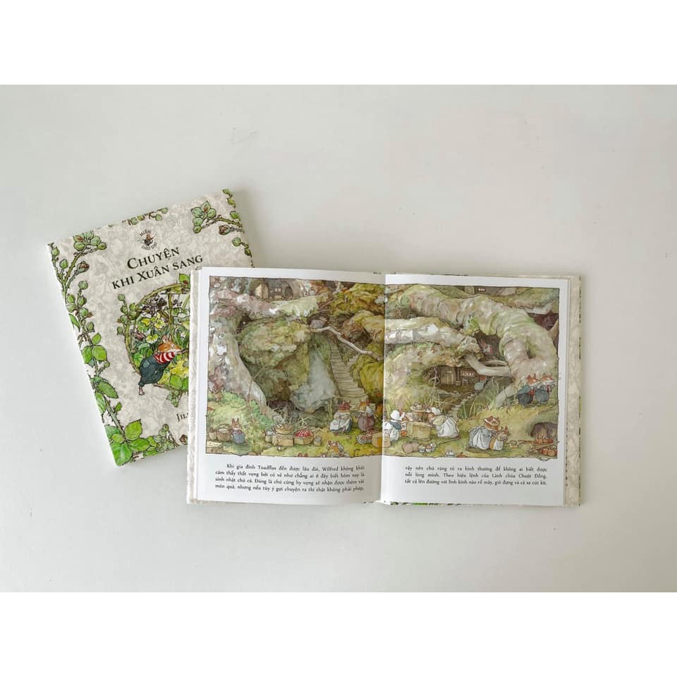 Sách - Boxset Miền Dâu Dại - Chuyện bốn mùa - Jill Barklem - Bình Book