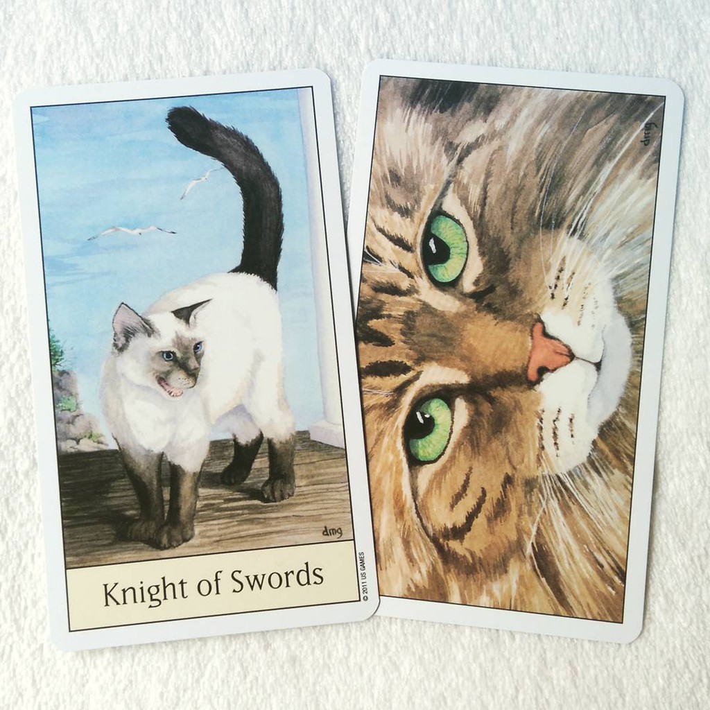 Bộ Bài Cat’s Eye Tarot (Mystic House Tarot Shop) - Bài Gốc Authentic Chính Hãng 100%