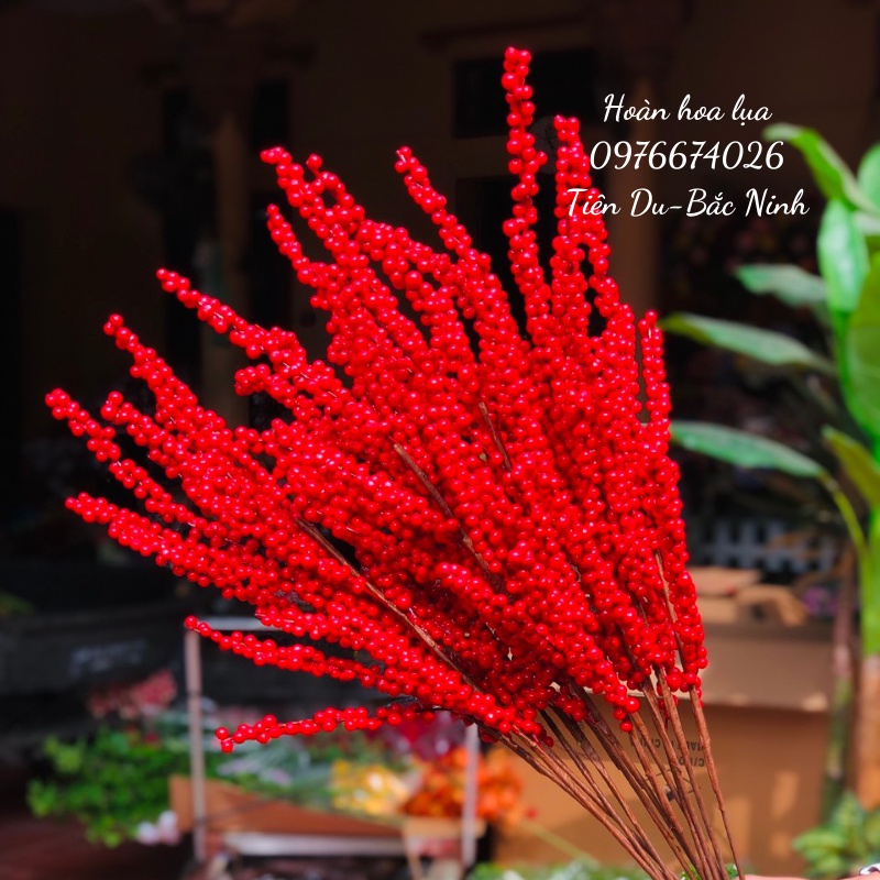 Đào đông đỏ cao cấp, một cành 12 nhánh hàng đẹp to tròn, hàng laoji 1 không dính quả