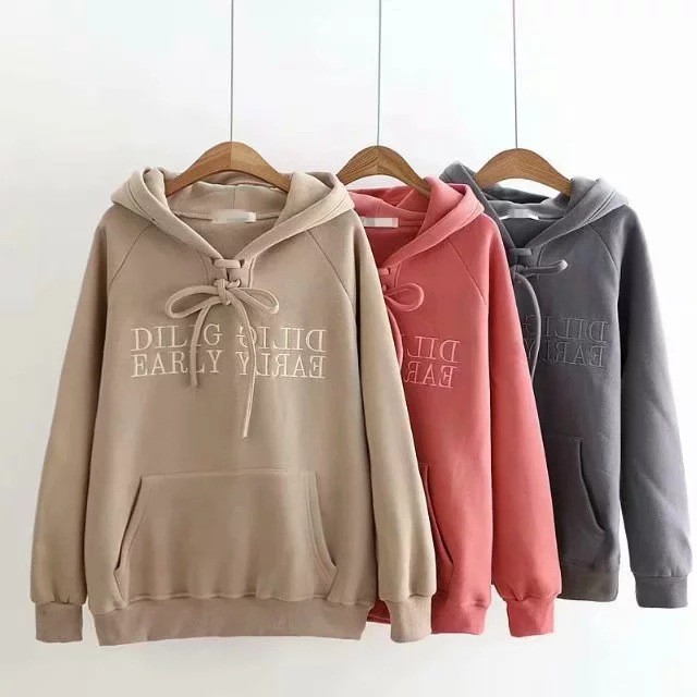 [Video thực tế] Áo hoodies nỉ ngoại cao cấp thêu DILIG - chống xù lông form 65kg T009