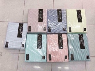 Drap trải giường cotton house