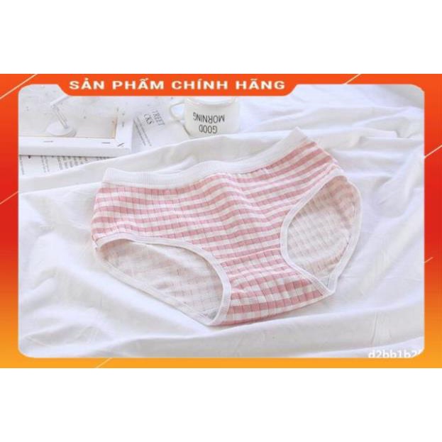 Quần Lót Cotton Co Dãn 4 Chiều Quả Dâu CuTe ( Chọn Màu )