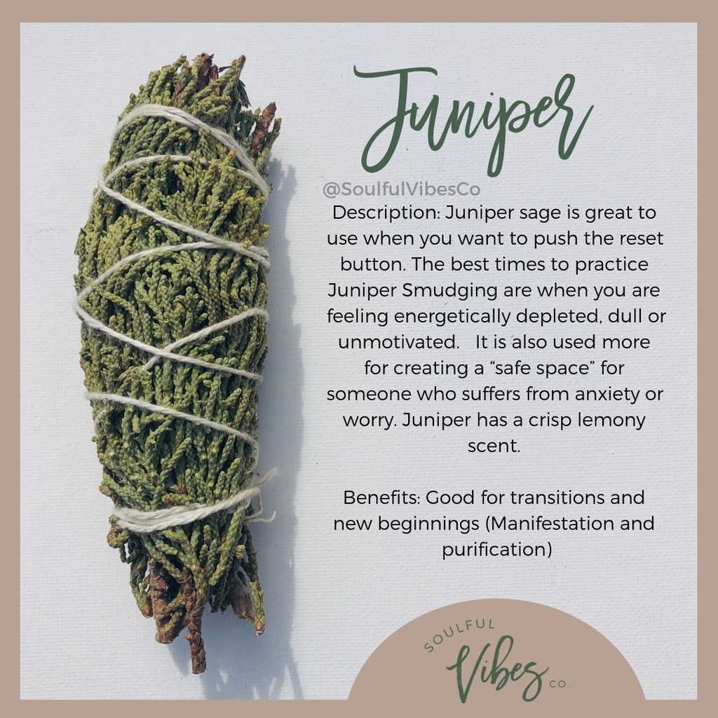 JUNIPER - CÂY BÁCH XÙ - THẢO MỘC XÔNG NHÀ