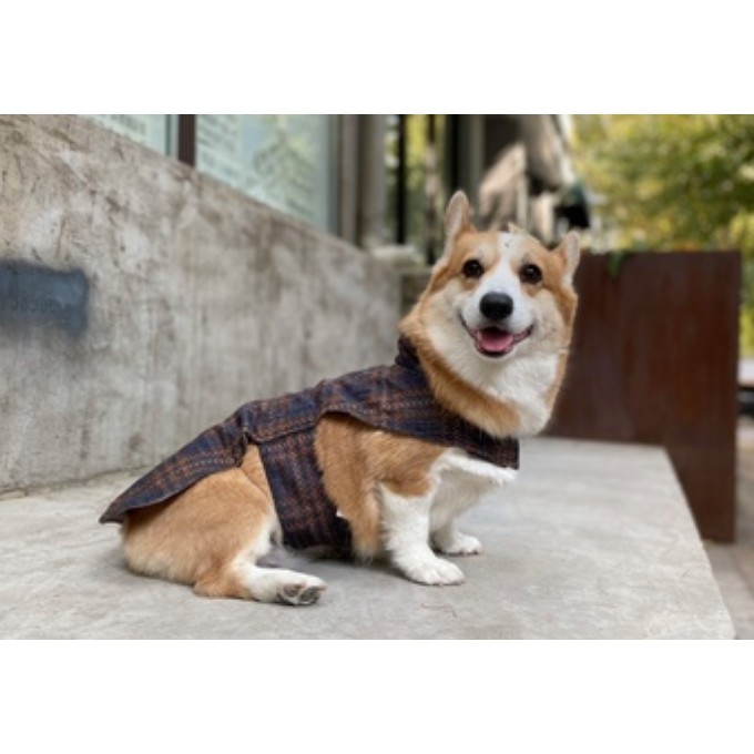 Touchdog Áo vest phong cách Anh Quốc cho chó mèo/ Thú cưng