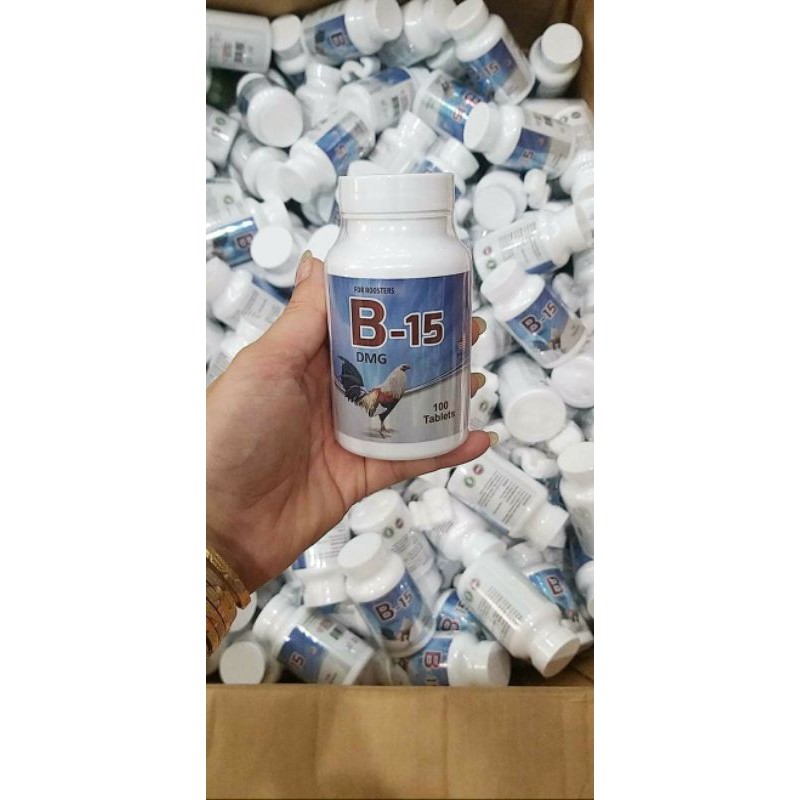 B15 kích thích tăng bo gà chế độ đá hủ 100v