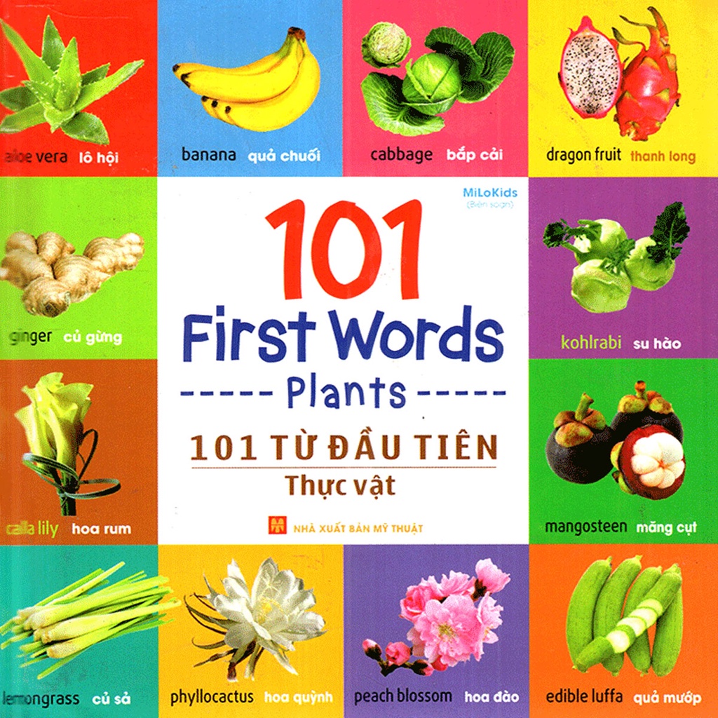 Sách - 101 First Words - Plants (101 Từ Đầu Tiên - Thực Vật)