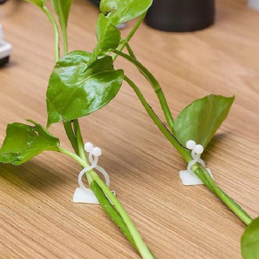 Set 10 Móc Treo Dây Leo Gắn Tường Tiện Lợi