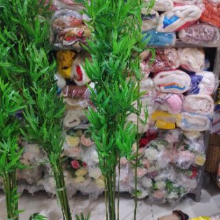 Cây trúc giả