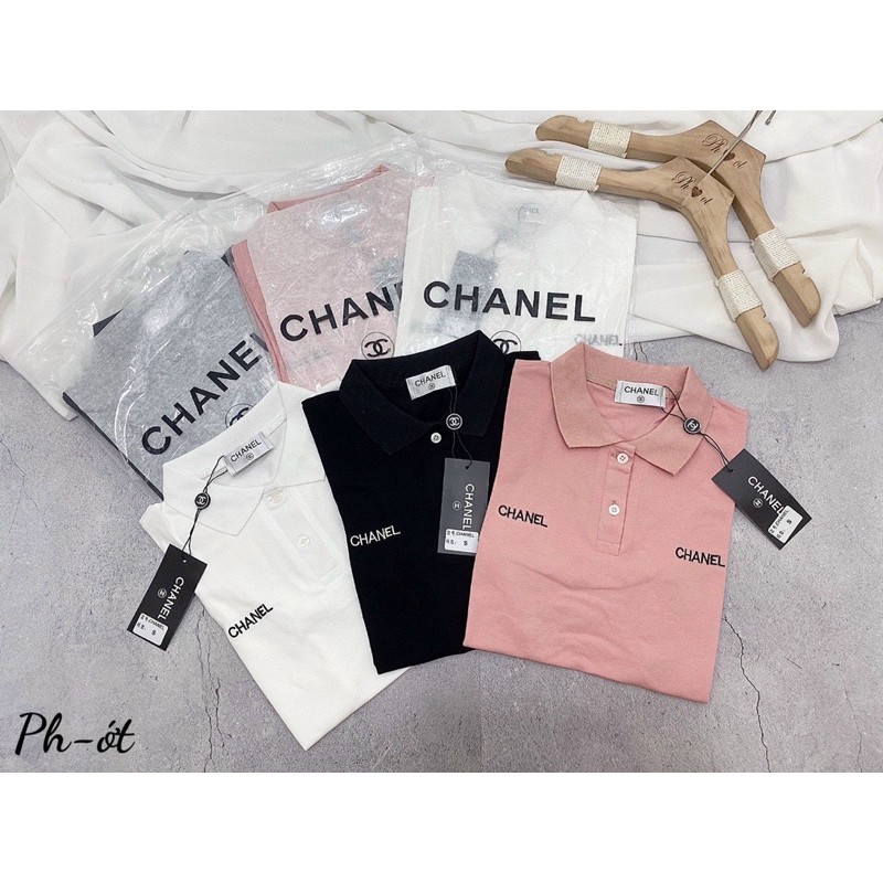 áo pull polo cổ đức chaneo