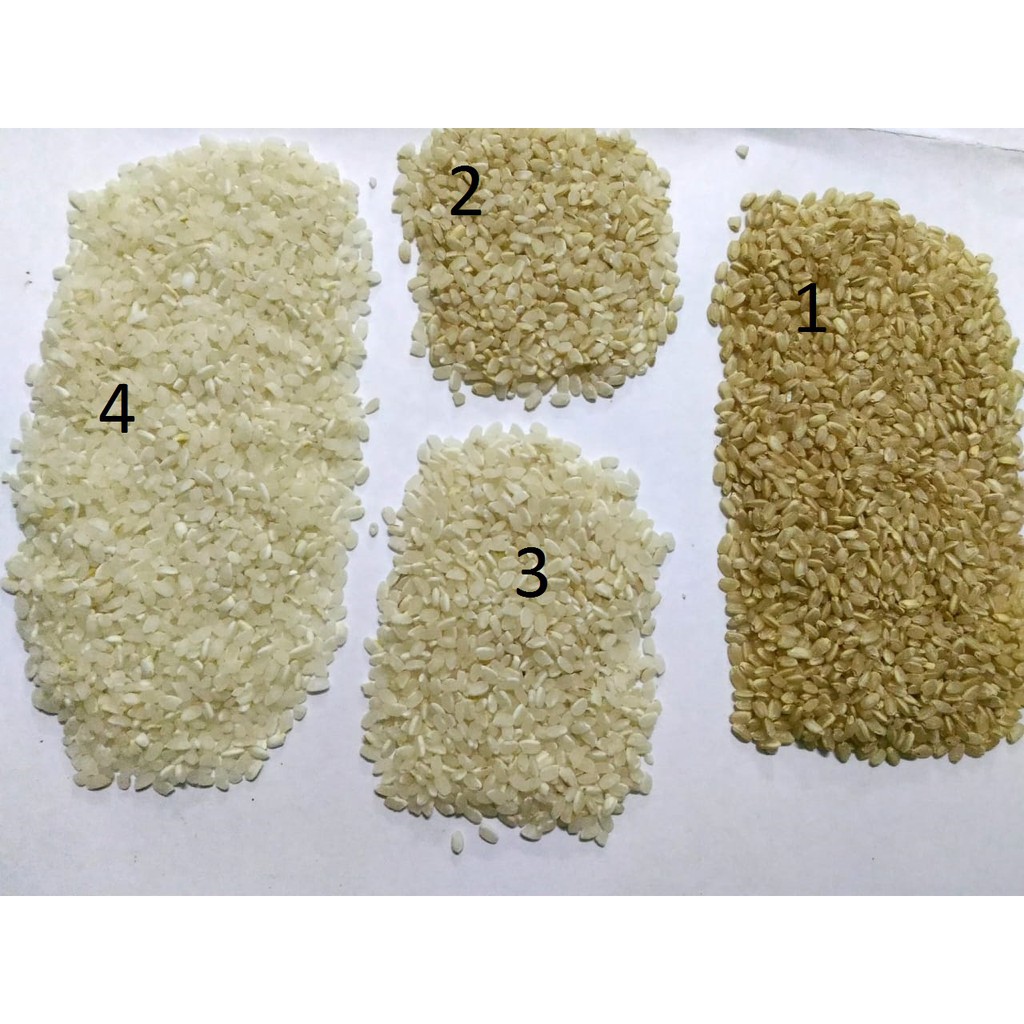 Gạo Nhật J02 túi 5kg | BigBuy360 - bigbuy360.vn