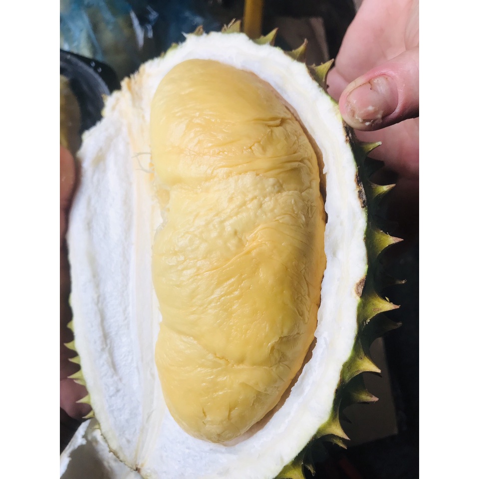 Cơm sầu cấp đông nguyên chất -5kg
