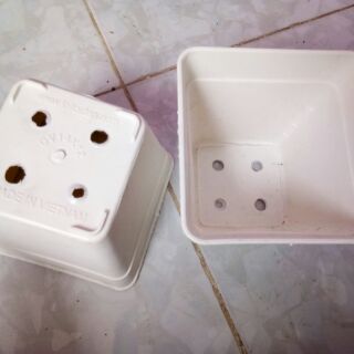 Chậu nhựa cứng vuông