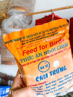 [Cám Trứng] Cám Trứng Ba Vì (cam)