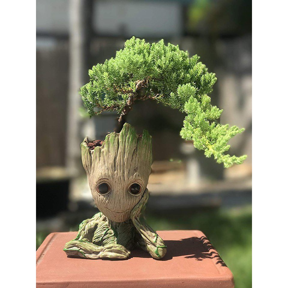 Chậu cây bé Groot Độc Đáo