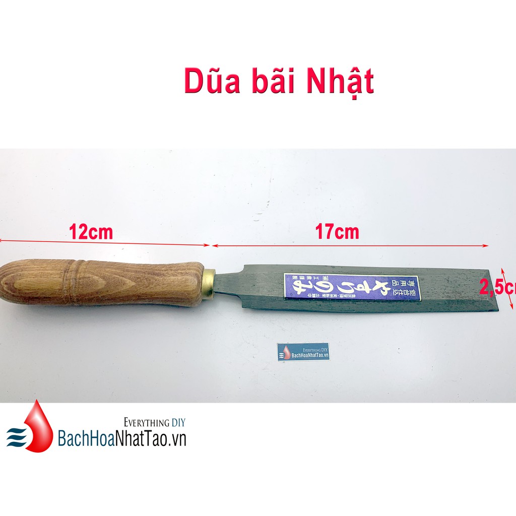 Dũa bãi Nhật