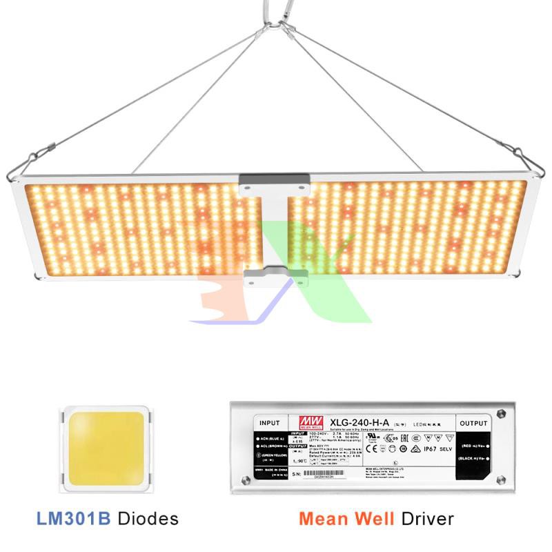 Đèn trồng cây Lượng tử QBC2000, Led grow lights chip Samsung 2000W, Đèn trồng rau trong nhà