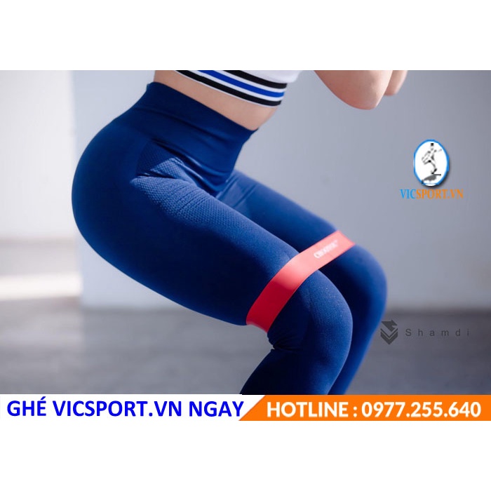 Bộ Dây Kháng Lực Cao Su( 5 Dây) MINI LOOP BRRANDS 5 chế Độ, loại cao cấp siêu bền - Vicsport