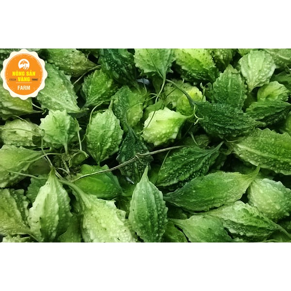 Bột Khổ Qua Rừng Nguyên Chất 500gr - Nông Sản Vàng