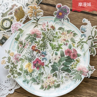 Set 60 Hình dán vintage hoa lá phong cách cổ điển trang trí bulletjournal