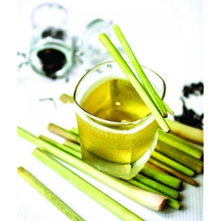 Tinh Dầu Sả Chống Muỗi Bé Thơ 50ml