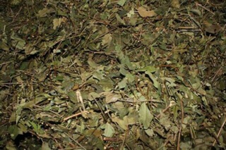 1kg chè vằng lá sẻ
