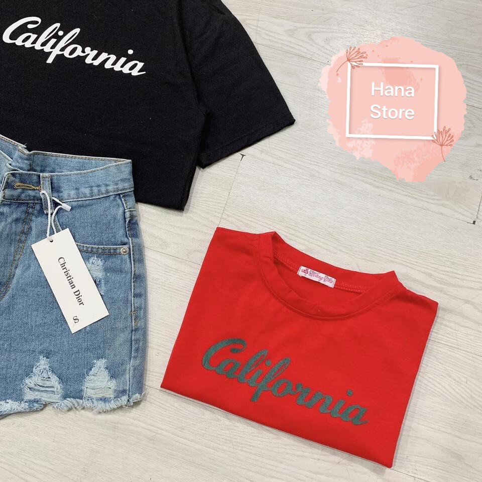 Áo croptop cộc tay dưới 53kg - California