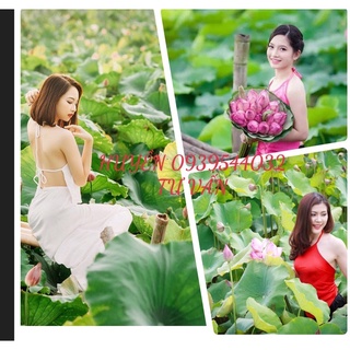 yếm chụp sen- váy đen- váy trắng