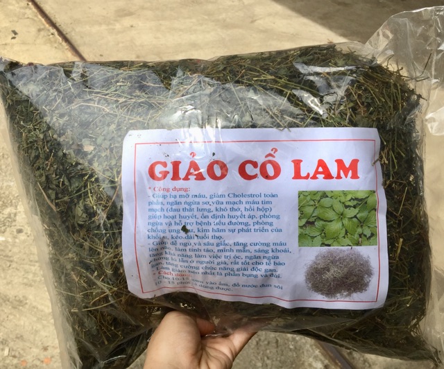 Giảo Cổ Lam 5 lá Hoà Bình