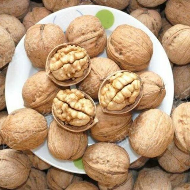 Óc chó sapa (1kg)
