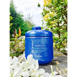 Hấp dầu JOICO phục hồi dưỡng ẩm 500ml