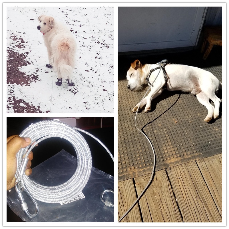 Dây Dắt Thú Cưng Đi Dạo Bằng Thép Phản Quang Chịu Tải Nặng 125kg