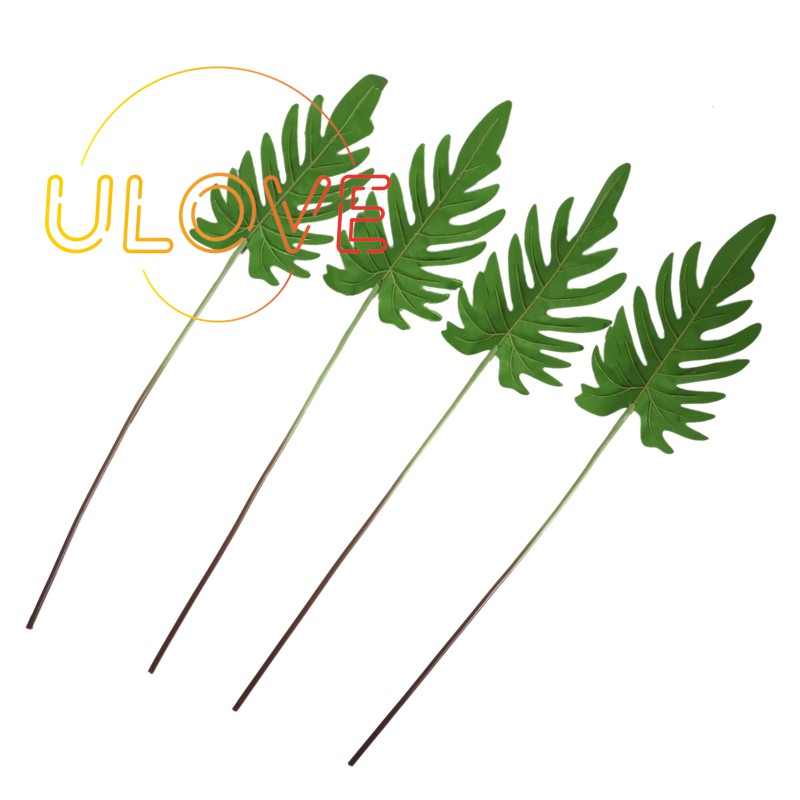 Set 4 Lá Cọ Nhiệt Đới Dùng Để Trang Trí Tiệc