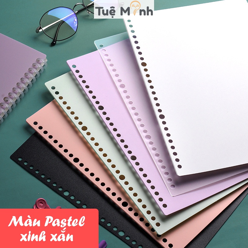 Set 2 bìa nhựa binder B5 Pastel 26 chấu P16 kiêm tab phân trang sổ còng