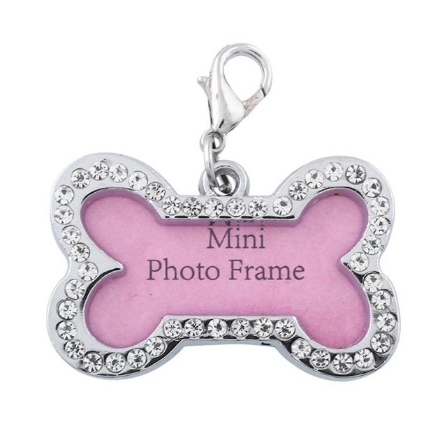 Bảng tên thú cưng